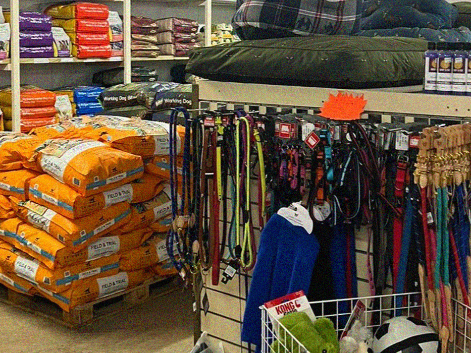 Pet Foods and Collars
